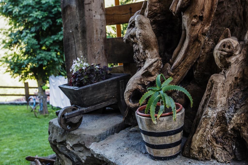 La Posada De Cucayo Dobres Exterior foto